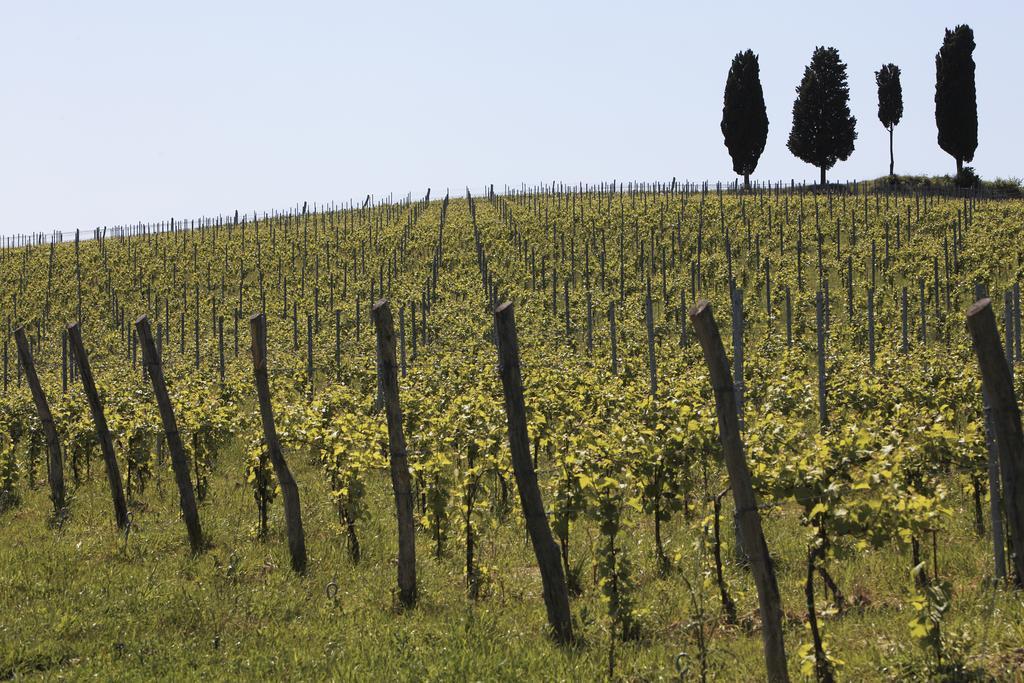 Le Buche Wine Resort&Spa Macciano 외부 사진